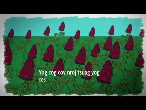 SARE’s cov yeej yaj kiab tas lauv (2): Nroj tsuag thiab Av Zoo