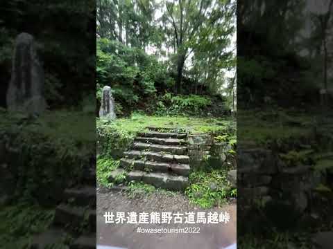 世界遺産熊野古道馬越峠PR動画28　#Shorts