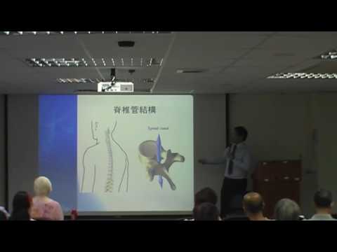 頸部結構‚頸與平衡機制 neck structure, neck and balance Talk 1 4 1