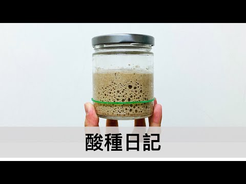 我的酸種日記｜龍龍開烤箱🍞自製酸種 餵養天然酵母全記錄 Homemade Sourdough Starter