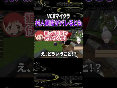 【VCRマイクラ】エンチャントのために村人を飼育していることがバレる赤髪のとも【葛葉】#葛葉 #切り抜き #赤髪のとも #vcrマイクラ