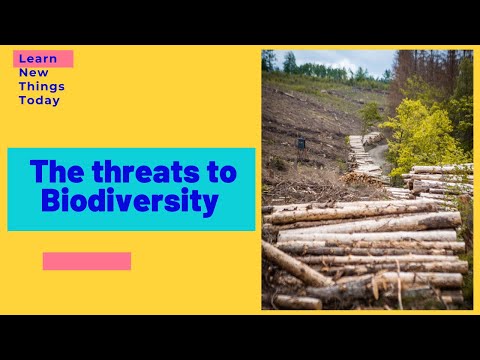 The threats to Biodiversity #biodiversity #climatechange #pollution