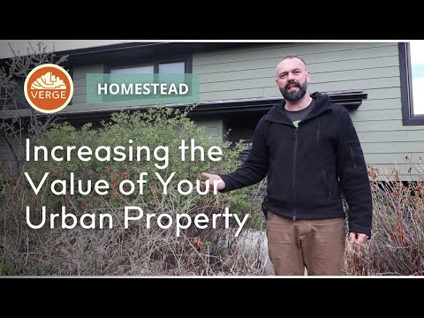 How a Boldly Unconventional Permaculture Property Can Help You Sell Your Home