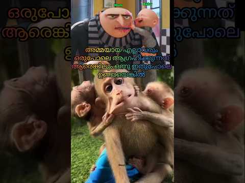 Motherhood Like 🥴അമ്മയായതിനു ശേഷം ഇത് ആഗ്രഹികത്താവർ ഉണ്ടാവില്ല 🥴#postpartum #youtubeshorts #shorts