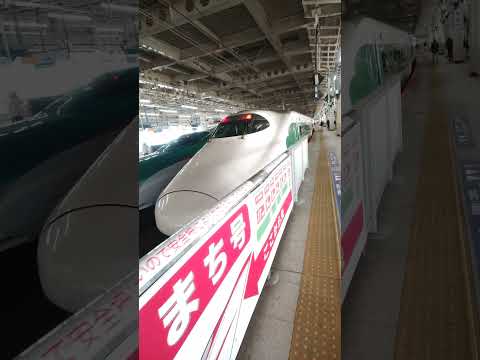 あと1ヶ月で廃車になる東北新幹線E2系レトロ塗装。