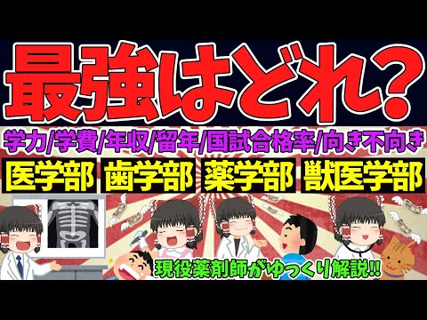 【医歯薬獣医】学力・学費・年収・留年・国試合格率を徹底比較！最強学部はどこだ！？【ゆっくり解説】