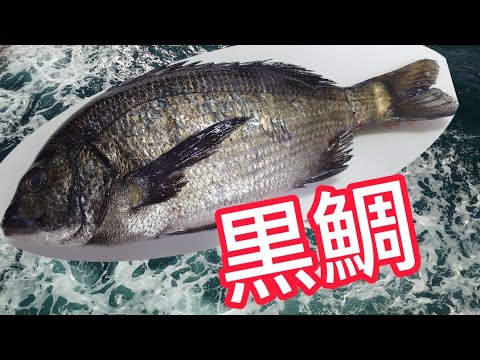 【Black sea bream sashimi】sashimi　Preparation edition