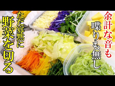 ♢BGM無し！♢『色々な野菜の切り方！』☆ひたすら野菜を切ってるだけの動画☆