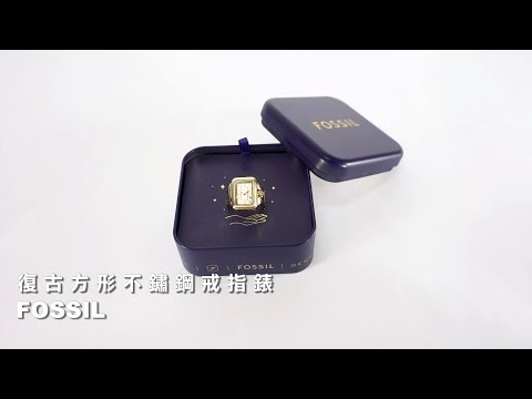 FOSSIL｜Raquel 金色不鏽鋼鍊帶 手錶戒指 #ES5343