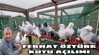 KALİTE DE SINIR TANIMIYORUZ  ÜST DÜZEY KUTU AÇILIMI  OSMANLI HÜNKARİ BOĞMA HÜNKARİ JAPONES VS