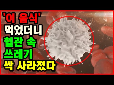 혈관청소 하는 '이 음식들' 먹었더니 혈관 쓰레기 싹 사라졌다. 혈관에 좋은 음식