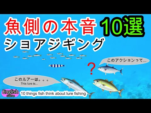 釣果アップ　釣り人はこう思われている　魚の本音　魚の性質　気持ちを考えたショアジギング　