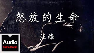 汪峰【怒放的生命】HD 高清官方歌詞版 MV