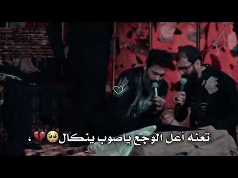 كلب خلصته من الويل للويل 😔💔اويلاه ياكربلاء | علاء التميمي - ستوريات حسينيه حزينه 💔