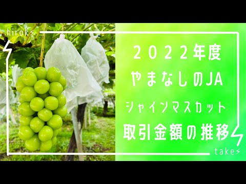 2022年シャインマスカット取引金額　山梨編