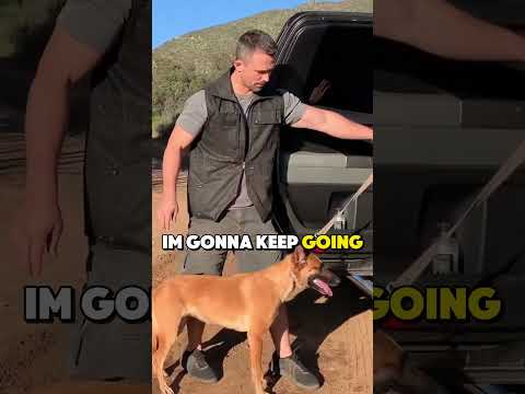 Teach ANY Dog to Get In and Out of Vehicles on Command!