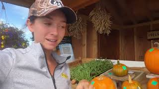 Here’s what I earn and sell at my farm stand