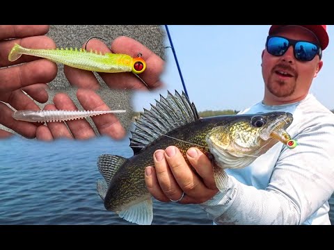 Plastic Minnows & Swimbaits for Walleyes – Underwater Tank Shot (Eye-Candy Baits)