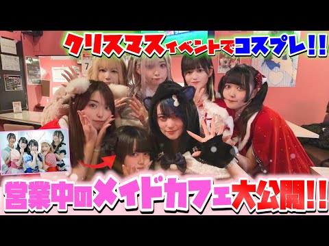 【無人カメラ】秋葉原の色々なメイドカフェの、クリスマスイベントに潜入してみた