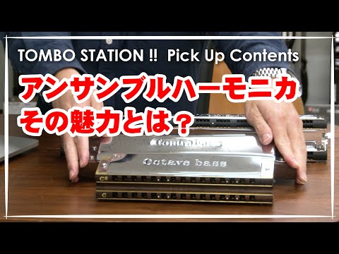 【ハーモニカ】アンサンブルハーモニカとポケットシリーズの魅力【TOMBO STATION!! 切り抜き】