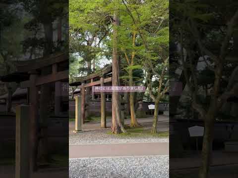 23）尾山神社の中の庭園