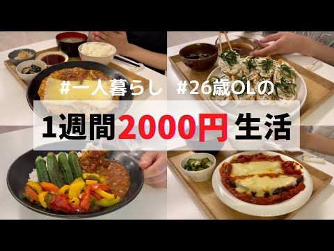 食費1ヶ月1万円の一人暮らしご飯【1週間分紹介】夏野菜カレー/稲荷そうめん/茄子の肉詰め…🍛🫑🍆