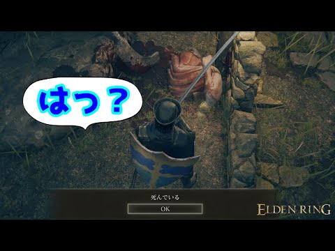 はっ？【ELDEN RING】