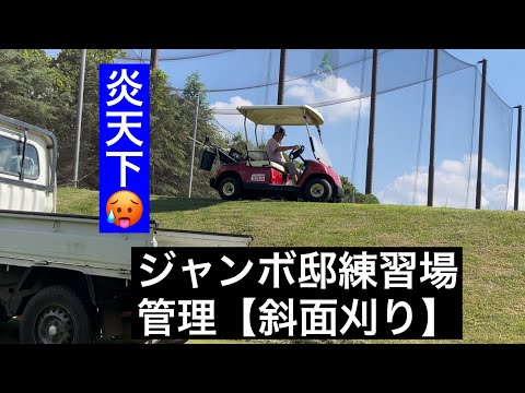 【管理動画】ジャンボ邸斜面刈り