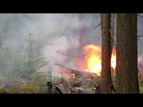 Forest Service 2021 Chainsaw Operations training video.