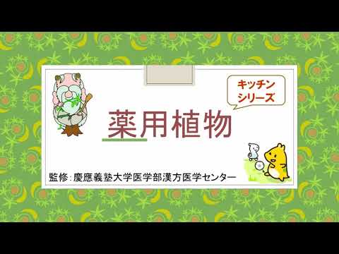 はじめての漢方e-learning 「薬用植物シリーズ」生姜焼き弁当編