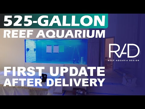 525-GALLON PENINSULA-STYLE REEF AQUARIUM IN HIGHLAND BEACH BY REEF AQUARIA DESIGN. UPDATE ONE!