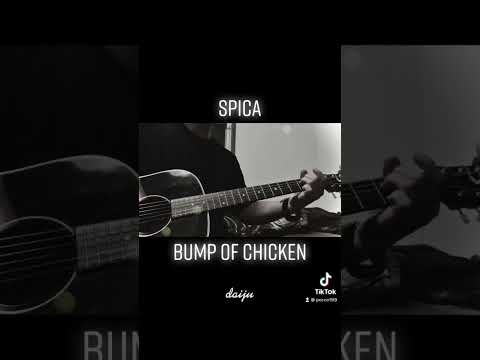 【Daiju】Spica BUMPOFCHICKEN 弾き語り