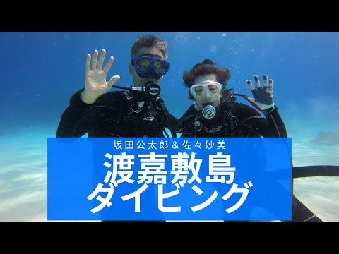 沖縄・渡嘉敷島ダイビング