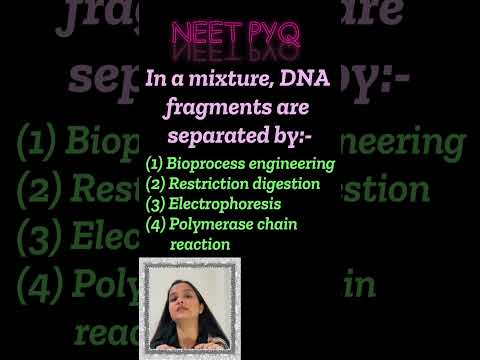 Ans this NEET PYQ 💯| NEET PYQ biology #neet2024 #neetshorts #neetpyqs #neet #pyq #shorts