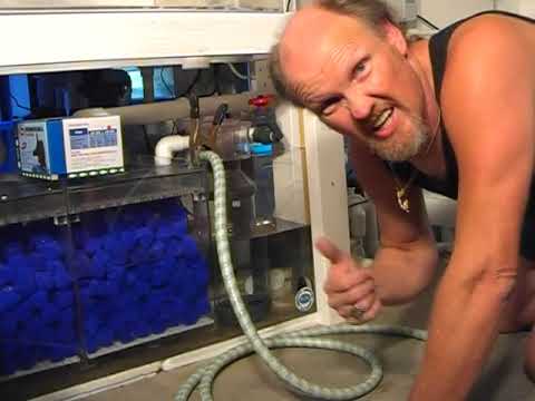 Jellyfish Breeding System, LA Fishguys, Episode 39, Part 6