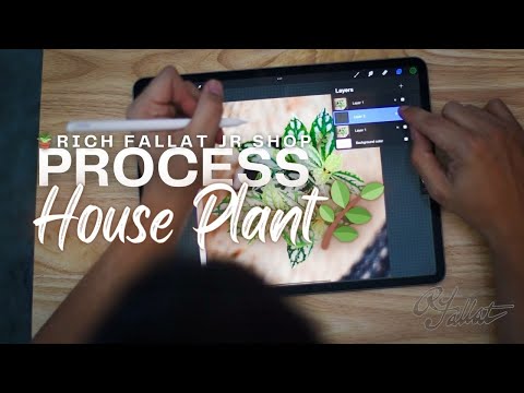 Drawing a House Plant