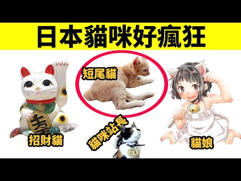 日本為什麼這麼愛貓？貓娘、招財貓、貓咪文化很流行！