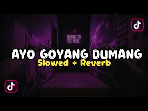 DJ AYO GOYANG DUMANG - Slow & Reverb 🎧