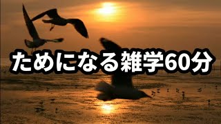 [雑学聞き流し]ためになる雑学60分