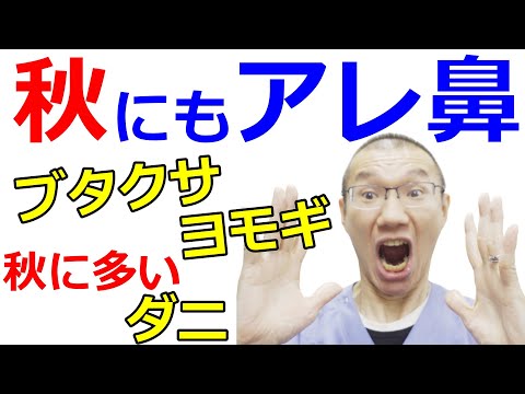 【秋のアレルギー性鼻炎】ハウスダストの代表、ダニは秋に増えます。耳鼻科医が真剣に伝えたいメッセージです。