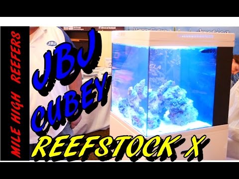 JBJ Cubey and Rimless 45 gallon at ReefStock