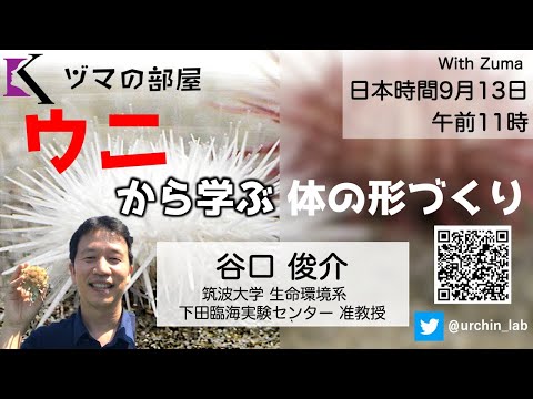 【筑波大学 谷口 俊介】ウニから学ぶ体の形づくり「ヅマの部屋」#3