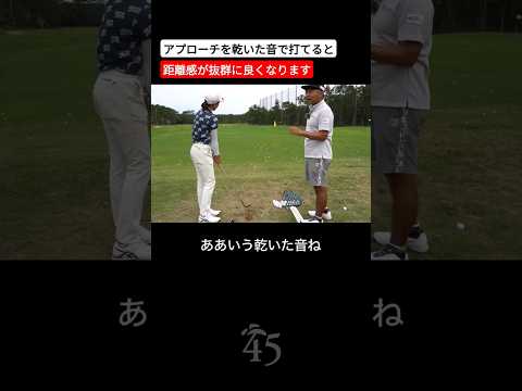 アプローチの距離感の良さは音で分かる #片山晋呉 #golf #ゴルフ #shorts