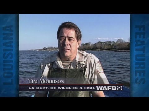 La. Water Quality Story (1999)