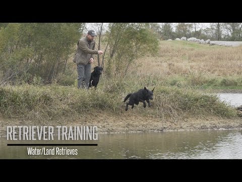 Land/Water Retriever Training Drills with Brookstone Kennels