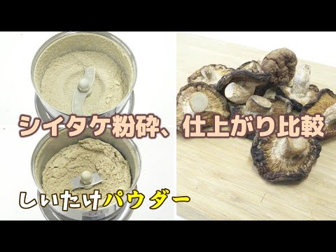 乾燥度で違う｜シイタケパウダーの仕上がり比較｜しっとり と さらさら