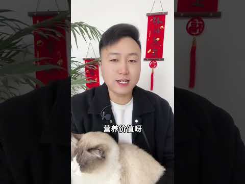 猫咪要想养得好，这几种食物千万不能少。 养猫经验分享 科学养宠攻略 猫咪零食 宠物鸡心 新手养猫