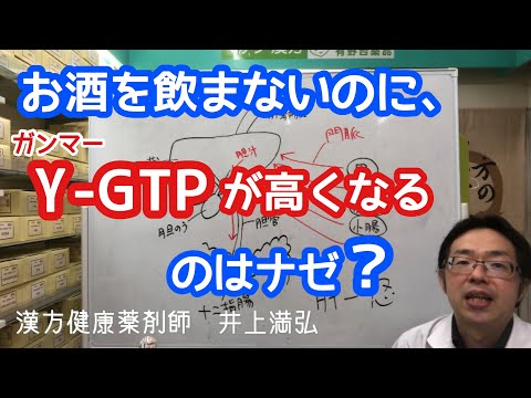 お酒を飲まないのに、ガンマーＧＴＰが高いのはなぜ？【γーGTP】