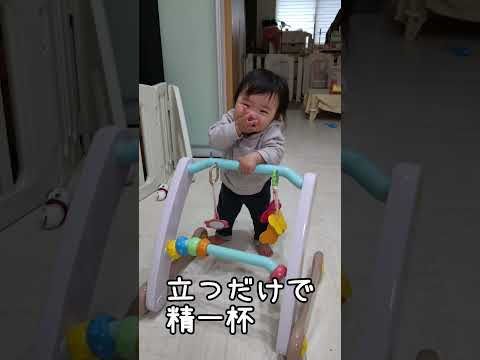 つかまり立ちの練習は油断大敵【303Days】 #baby