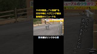 ⬆️本編はリンクから⬆️人気動物が消えるハプニングも… “昭和の動物園”がリニューアル 成功請負人の新園長が目指した「本物感」#shorts